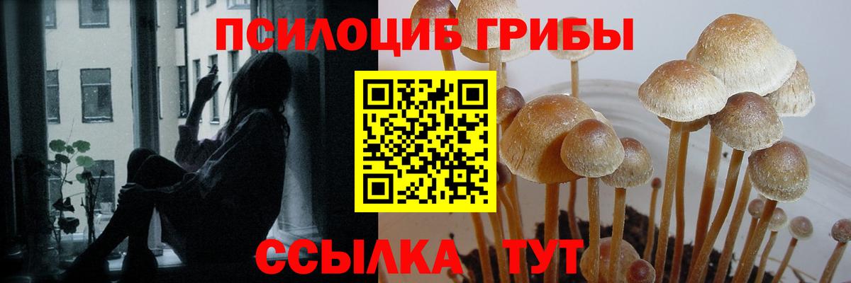 Кострома  Псилоцибиновые грибы ЛСД  Вход с VPN 